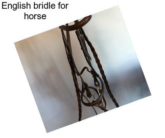 English bridle for horse