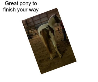 Great pony to finish your way