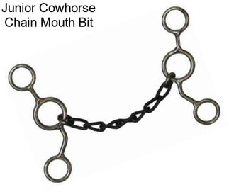 Junior Cowhorse Chain Mouth Bit