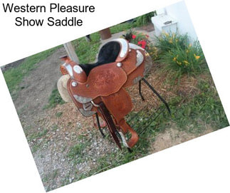 Western Pleasure Show Saddle