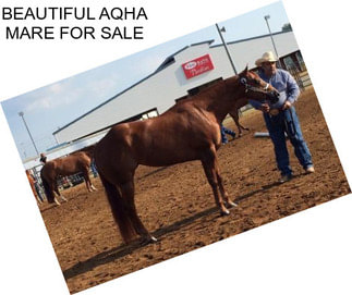 BEAUTIFUL AQHA MARE FOR SALE