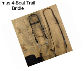 Imus 4-Beat Trail Bridle