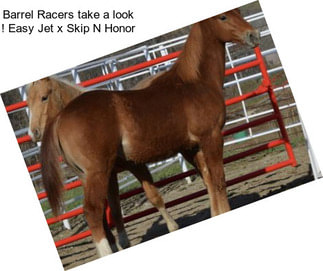 Barrel Racers take a look ! Easy Jet x Skip N Honor