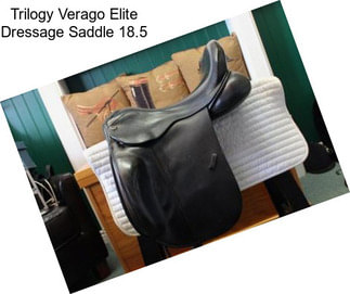 Trilogy Verago Elite Dressage Saddle 18.5\