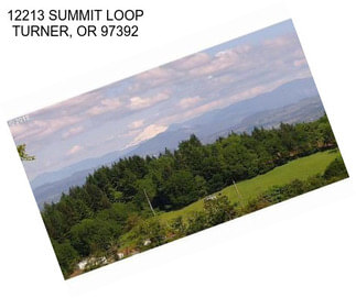 12213 SUMMIT LOOP TURNER, OR 97392