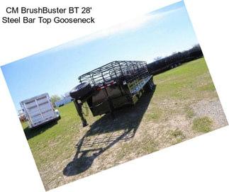 CM BrushBuster BT 28\' Steel Bar Top Gooseneck