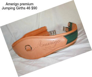 Amerigo premium Jumping Girths 46\