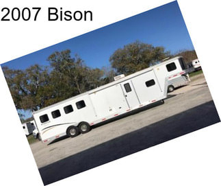 2007 Bison