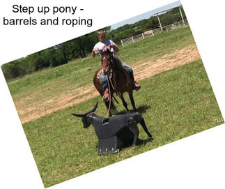 Step up pony - barrels and roping