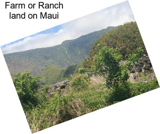 Farm or Ranch land on Maui