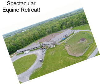 Spectacular Equine Retreat!