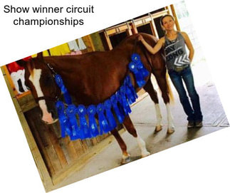 Show winner circuit championships