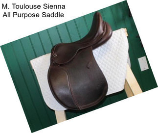 M. Toulouse Sienna All Purpose Saddle