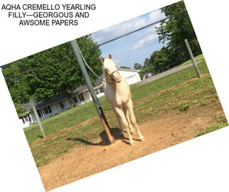 AQHA CREMELLO YEARLING FILLY—GEORGOUS AND AWSOME PAPERS