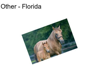 Other - Florida