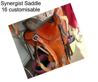 Synergist Saddle 16 customisable