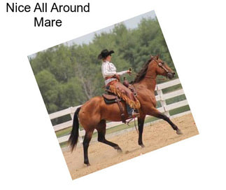 Nice All Around Mare