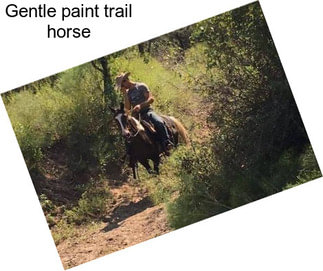 Gentle paint trail horse
