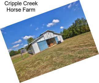 Cripple Creek Horse Farm