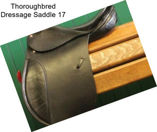 Thoroughbred Dressage Saddle 17\