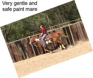 Very gentle and safe paint mare