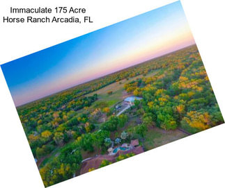 Immaculate 175 Acre Horse Ranch Arcadia, FL