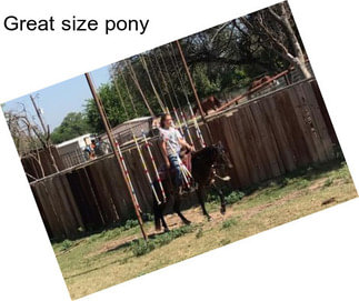 Great size pony