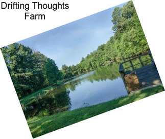 Drifting Thoughts Farm