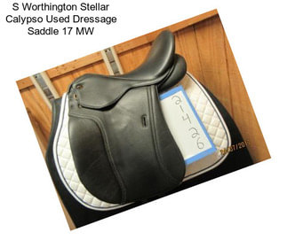 S Worthington Stellar Calypso Used Dressage Saddle 17\