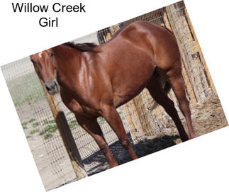 Willow Creek Girl