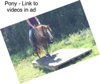 Pony - Link to videos in ad