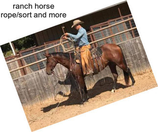 Ranch horse rope/sort and more