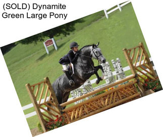 (SOLD) Dynamite Green Large Pony