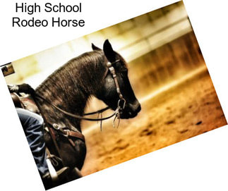 High School Rodeo Horse