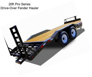 20ft Pro Series Drive-Over Fender Hauler