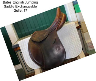 Bates English Jumping Saddle Exchangeable Gullet 17\