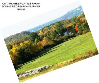 ONTARIO BEEF CATTLE FARM/ EQUINE RECREATIONAL RIVER FRONT