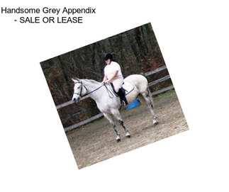 Handsome Grey Appendix - SALE OR LEASE