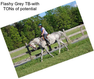 Flashy Grey TB-with TONs of potential