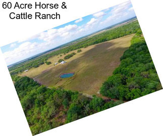 60 Acre Horse & Cattle Ranch