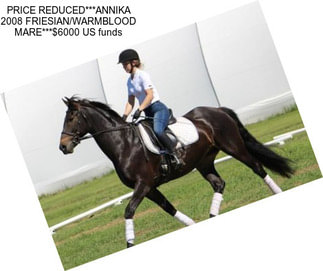 PRICE REDUCED***ANNIKA 2008 FRIESIAN/WARMBLOOD MARE***$6000 US funds