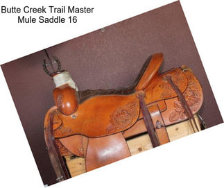 Butte Creek Trail Master Mule Saddle 16\