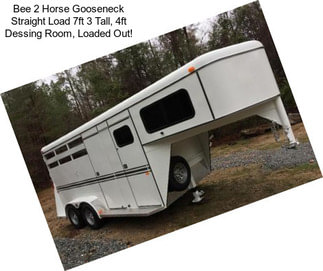 Bee 2 Horse Gooseneck Straight Load 7ft 3\