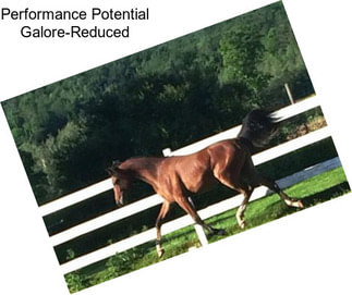 Performance Potential Galore-Reduced