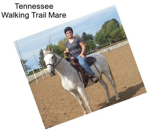 Tennessee Walking Trail Mare