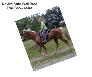 Novice Safe Well Bred Trail/Show Mare