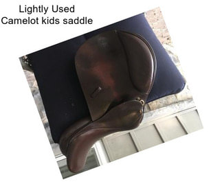 Lightly Used Camelot kids saddle