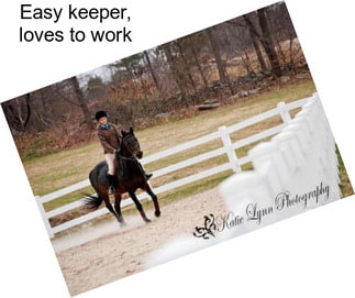 Easy keeper, loves to work