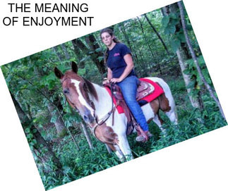 THE MEANING OF ENJOYMENT