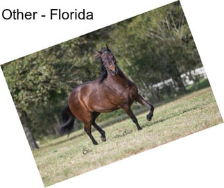 Other - Florida